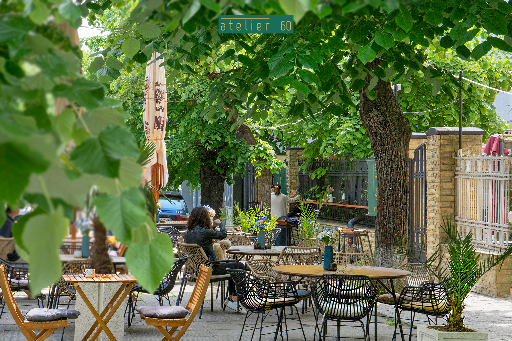 Саксофон | Музика на живо | Уелкъм дринк | Събития | Сватби