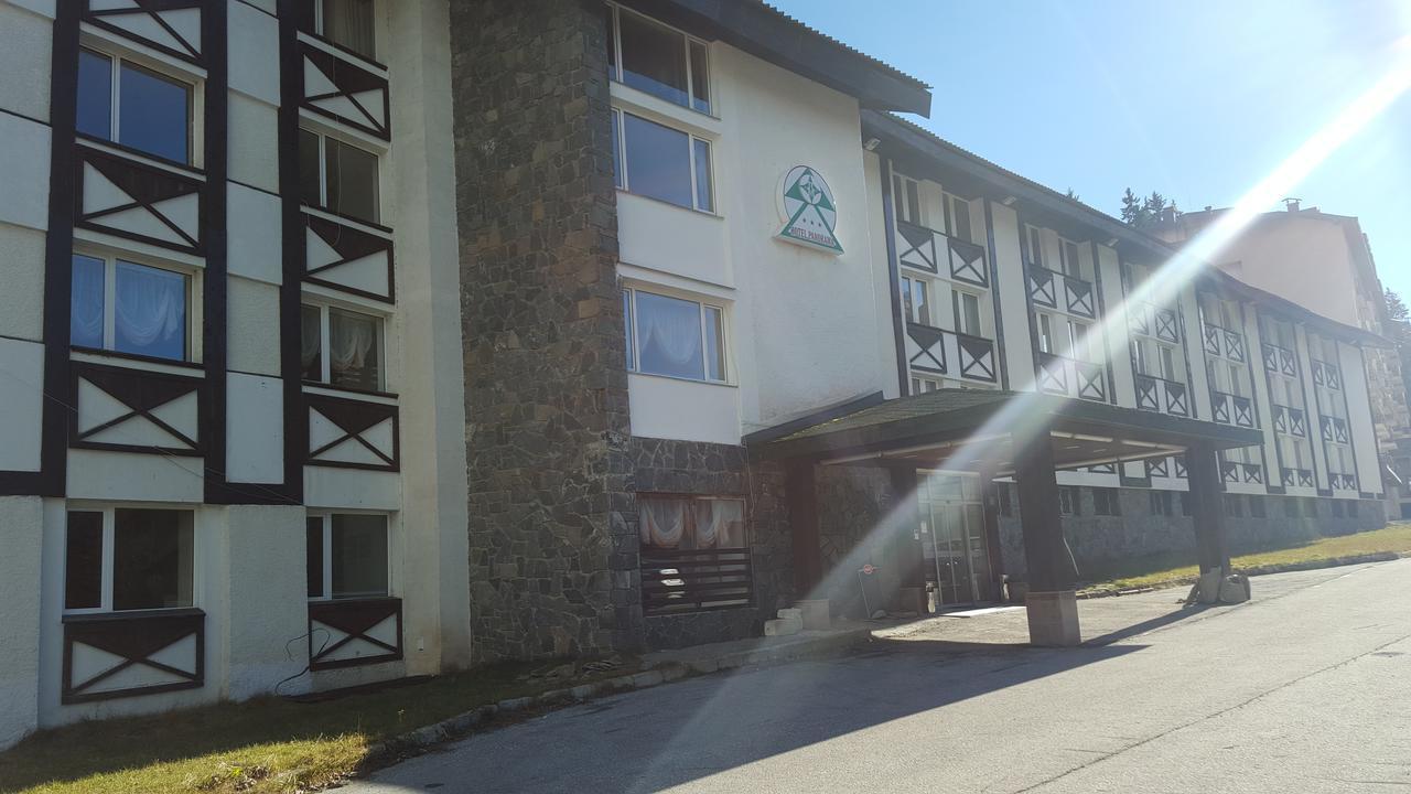 Саксофон | Музика на живо | Уелкъм дринк | Събития | Сватби